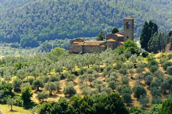 Heuvels in Toscane in de buurt van artimino — Stockfoto