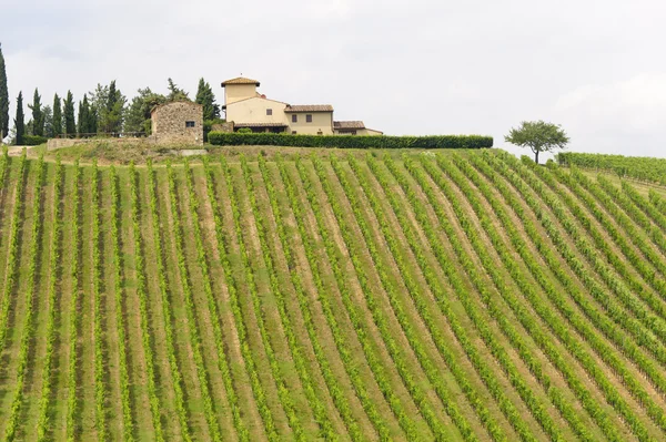 stock image Chianti (Tuscany), old farmhouse