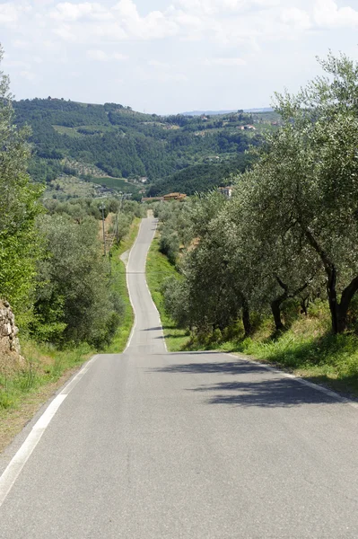 Hügel in der Toskana bei artimino — Stockfoto