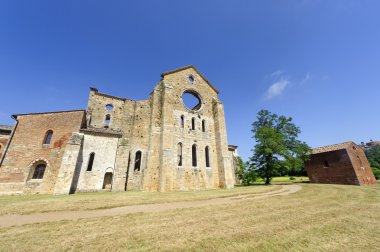 San galgano (siena, Toskana, İtalya)