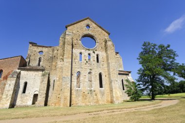 San galgano (siena, Toskana, İtalya)