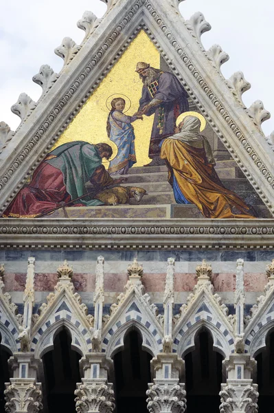 Siena (Toskania, Włochy) - Katedra duomo — Zdjęcie stockowe