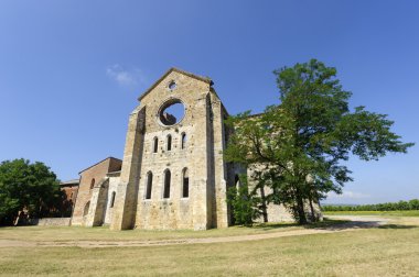 San galgano (siena, Toskana, İtalya)