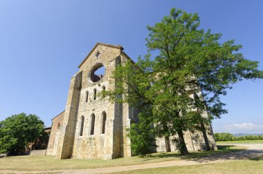 San galgano (siena, Toskana, İtalya)