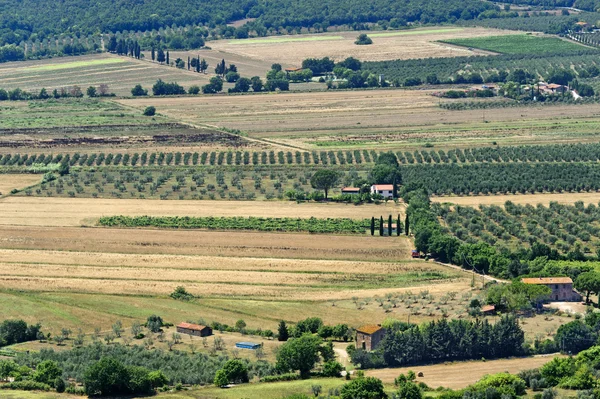 Toskana, Landschaft im Sommer — Stockfoto