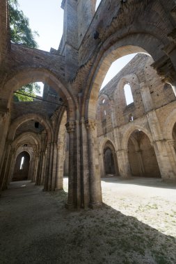 San galgano (siena, Toskana, İtalya)