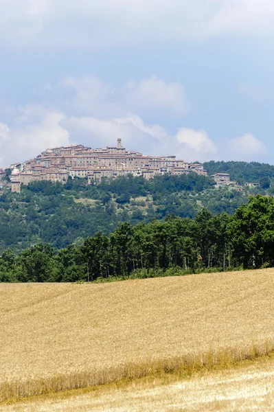 Chiusdino (Toscana) — Stockfoto
