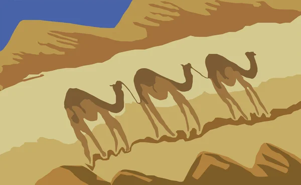 Kameler — Stock vektor