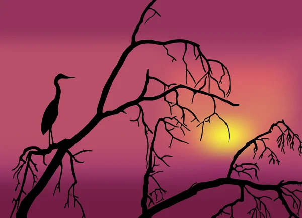 Fågel i ett träd — Stock vektor