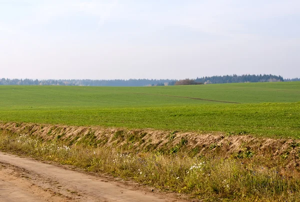 stock image Field and the road