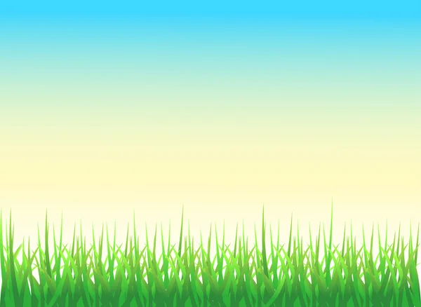 Grön gräs bakgrund — Stock vektor