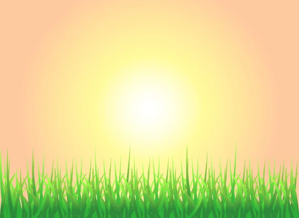 Coucher de soleil herbe fond — Image vectorielle
