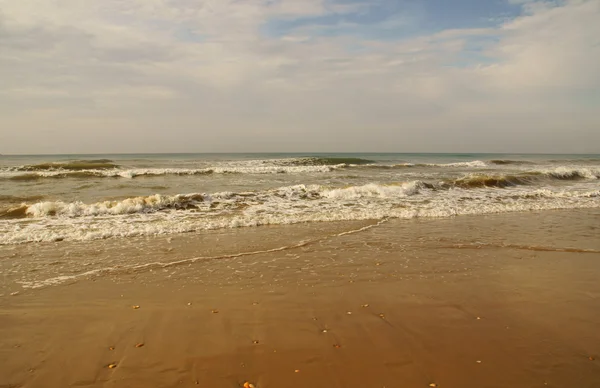Coasta Atlanticului — Fotografie, imagine de stoc