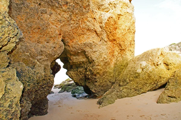Kayalık sahil — Stok fotoğraf