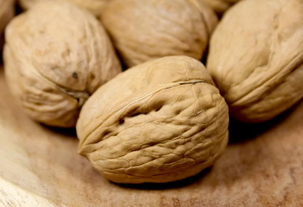 stock image Walnuts on a walnut background