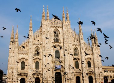 Milan's Cathedral with flying pigeons clipart
