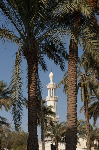 Mezquita Sharif Hussein — Foto de Stock