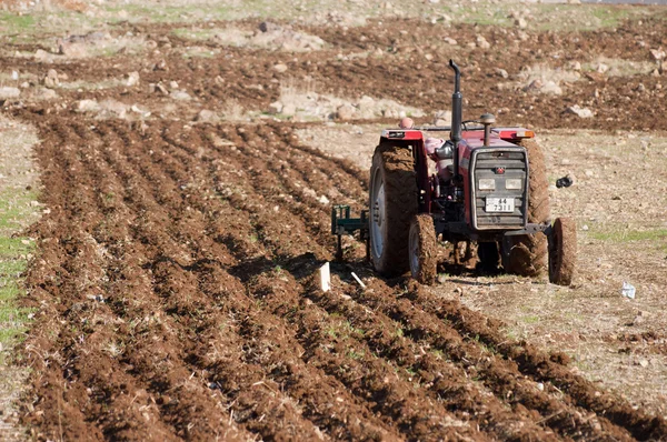 stock image Agriculture in Amman,Jordan