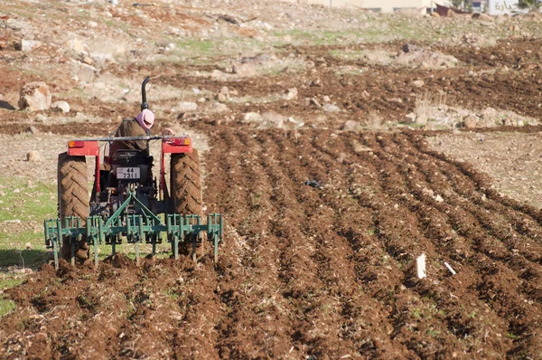 stock image Agriculture in Amman,Jordan