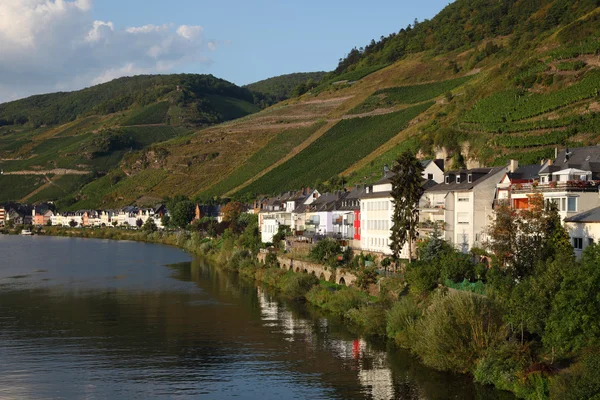 Town Zell en el río Mosel en Alemania —  Fotos de Stock