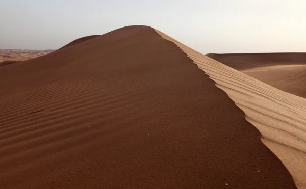 Duny v poušti poblíž dubai — Stock fotografie