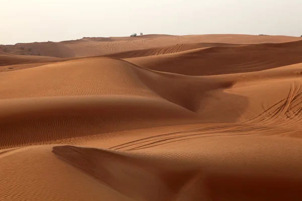 扑在迪拜的沙丘 — 图库照片