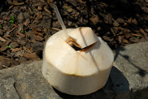 Coconut with straw — Stock Photo, Image
