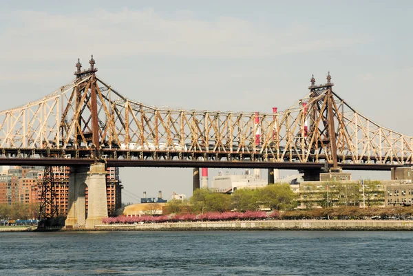 クイーンズボロ橋、ニューヨークシティ — ストック写真