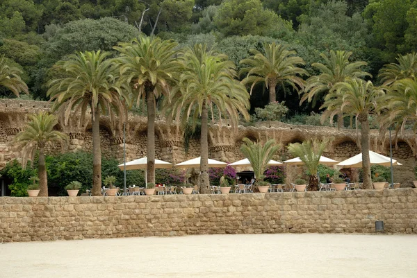 Palmen im park guell in barcelona spanien — Stockfoto