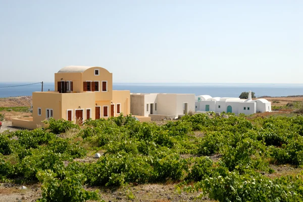 Новые здания и виноградники в Санторини, Греция — стоковое фото