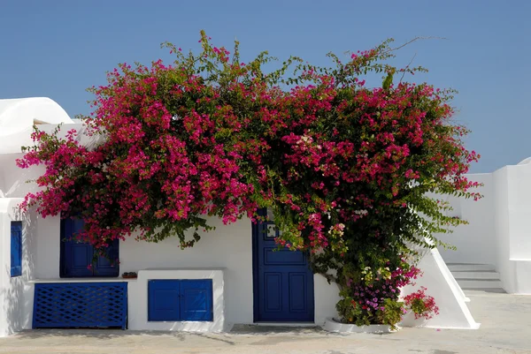 圣托里尼岛希腊传统房子 — 图库照片
