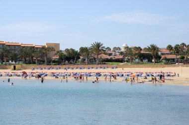 Beach in Caleta de Fuste, Fuerteventura Spain clipart