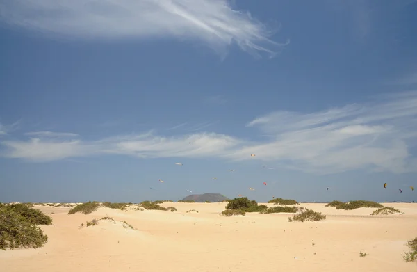 Sanddyner vid corralejo, fuerteventura, Kanarieöarna — Stockfoto