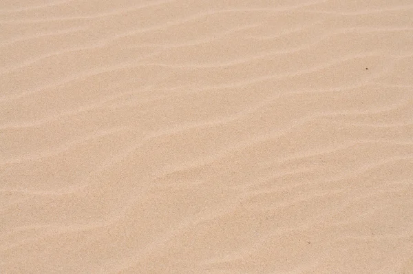Texture des dunes de sable — Photo