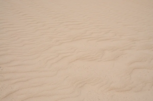 Písečné duny povrch, skvělé pro pozadí a textury — Stock fotografie
