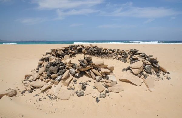 Windbreak sulla spiaggia di Fuerteventura, Spagna — Foto Stock