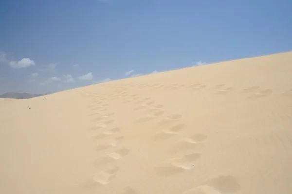 Dune at the Canary Island Fuerteventura, Spain — Stock Photo, Image