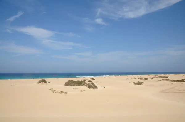 Plaży w corralejo, Kanaryjskie wyspy fuerteventura — Zdjęcie stockowe