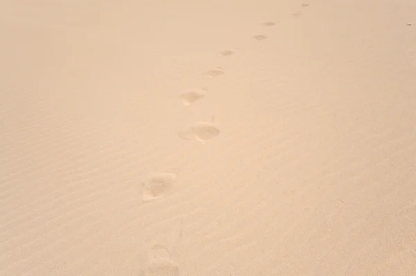 Pegadas na duna, Fuerteventura Island, Espanha — Fotografia de Stock