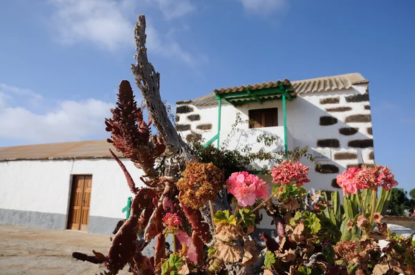 Traditionella hus på canary ön fuerteventura, Spanien — Stockfoto