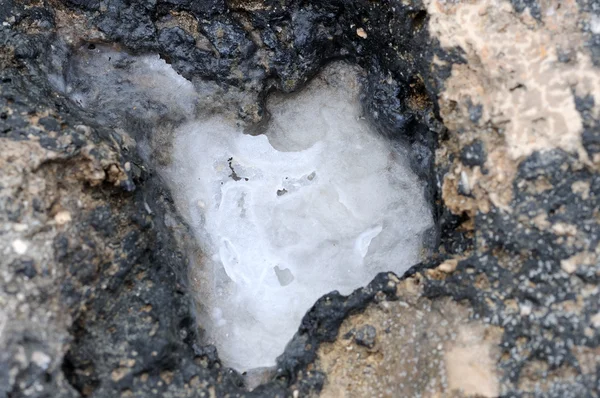 Salt in the Volcanic Stone of Fuerteventura, Spain — Stock Photo, Image