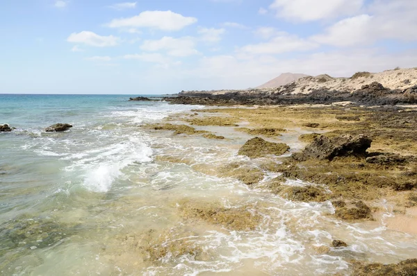 海岸线岩石上加那利岛富埃特文图拉，西班牙 — 图库照片