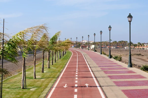 Promenade met fietspaden in fuerteventura Spanje — Stockfoto