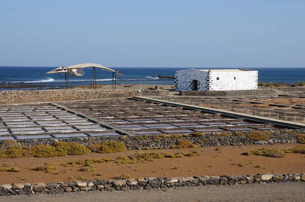 Esqueleto de baleia e salina em Fuerteventura Espanha — Fotografia de Stock