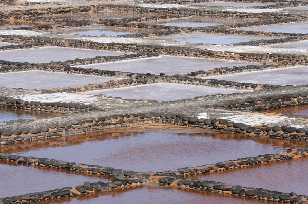 Traditionele zoutoplossing op de Canarische eiland fuerteventura, Spanje — Stockfoto