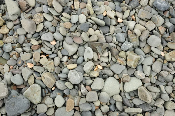 Natural grey stones on the beach, great for background and texture — Stock Photo, Image