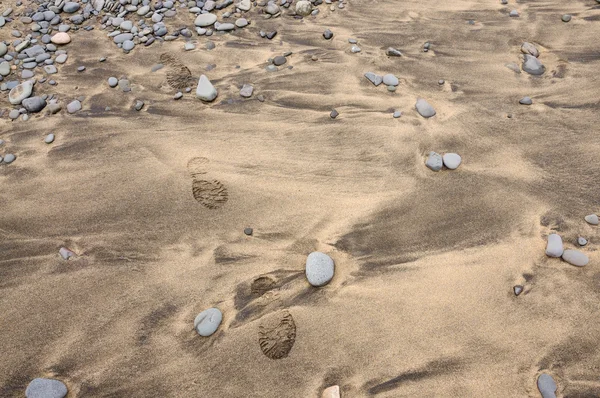 Камни и следы на пляже — стоковое фото