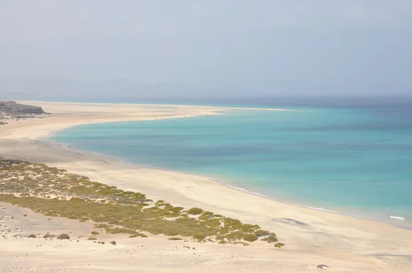 Praia de Sotavento em Canary Island Fuerteventura, Espanha — Fotografia de Stock