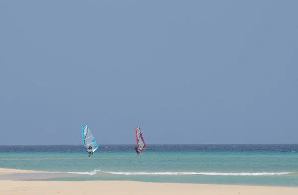 Windsurfers no mar . — Fotografia de Stock