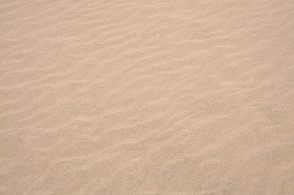 Superfície de duna de areia, ótima para fundo e textura — Fotografia de Stock
